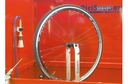 bic-15-0004_5.jpg