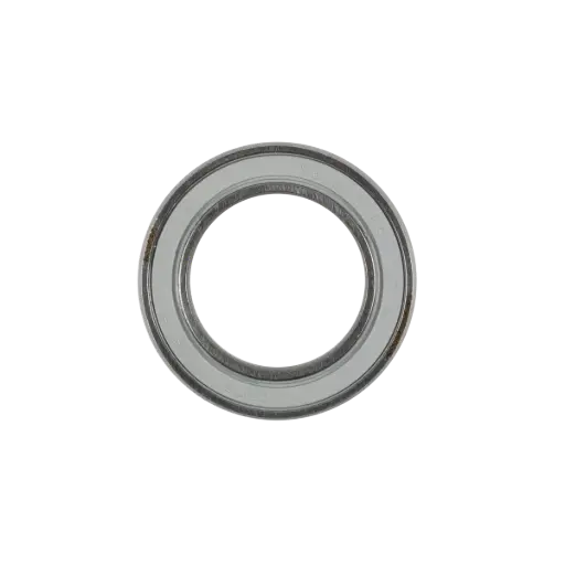 [117466] CERAMICSPEED ALPHA LAGER 61802 2LC